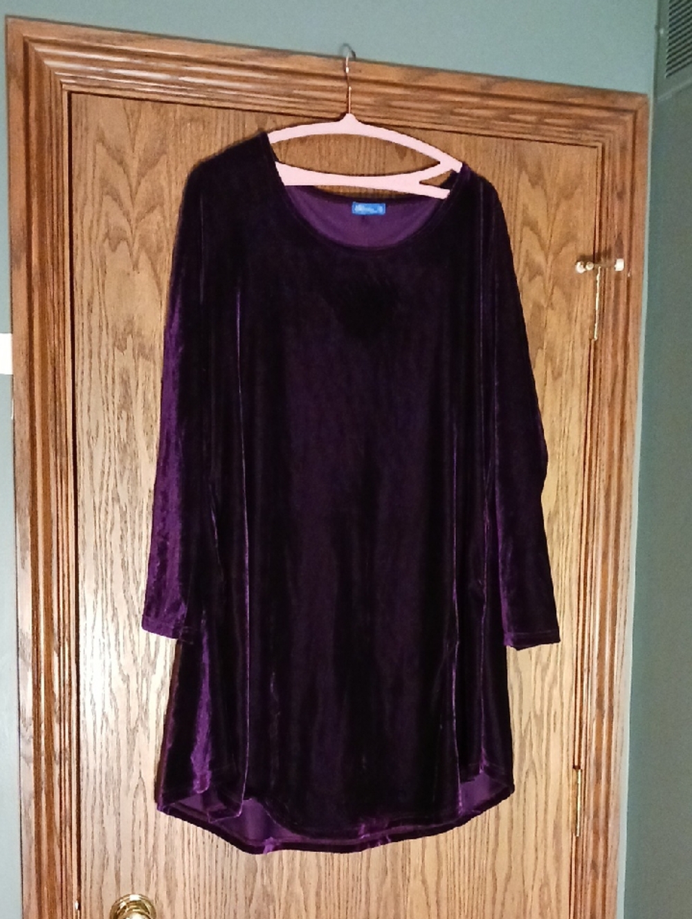 Women's Aster By Firmiana Velour Long Sleeve Dress